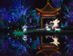 水中仙子，花開韓城丨2017全國首屆睡蓮文化節(jié)開幕式驚艷韓城！