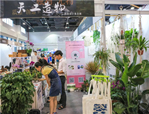 走進植物，享受美好——花點園藝亮相第十二屆杭州文博會