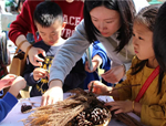 科普植物知識(shí)，傳遞植物美學(xué)——花點(diǎn)園藝亮相第三屆自然嘉年華