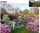 人文花展｜2023太子灣春季花事活動(dòng)已開(kāi)啟，人文園林“錦上添花”受邀參展，敬請(qǐng)期待！