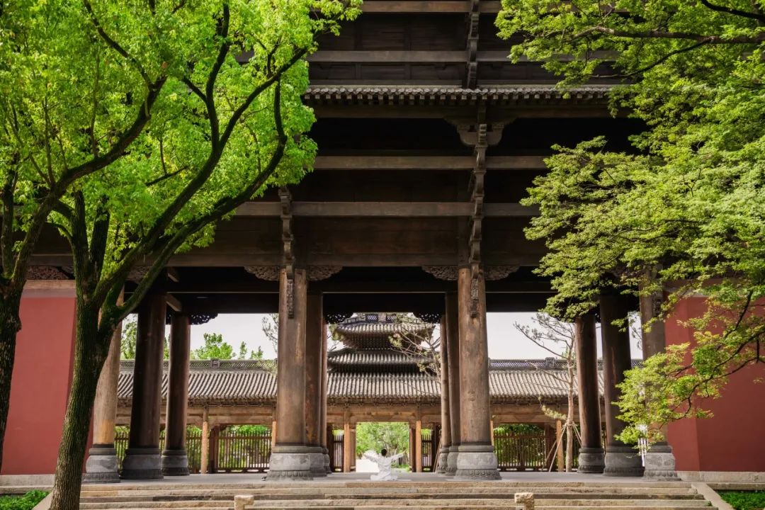 喜報|人文園林榮獲桐鄉(xiāng)市“鳳鳴杯”三項優(yōu)質(zhì)工程榮譽！