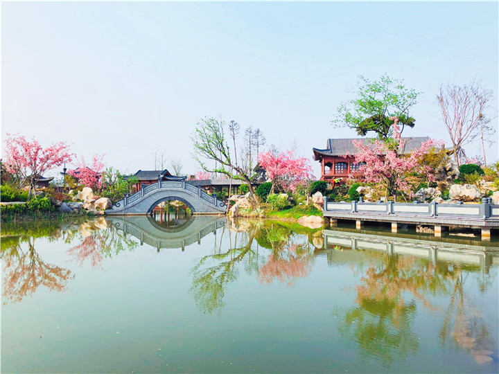 黃有華-韓城國家文史公園瓊島攬月處紅花綠葉，春意盎然。.jpg