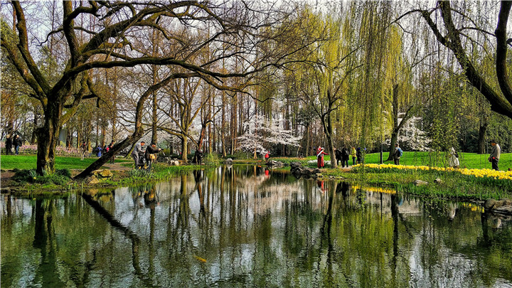 晏佳佳-12春光燦爛——2018-03-22——太子灣公園的春天，色彩靚麗 (2).jpg
